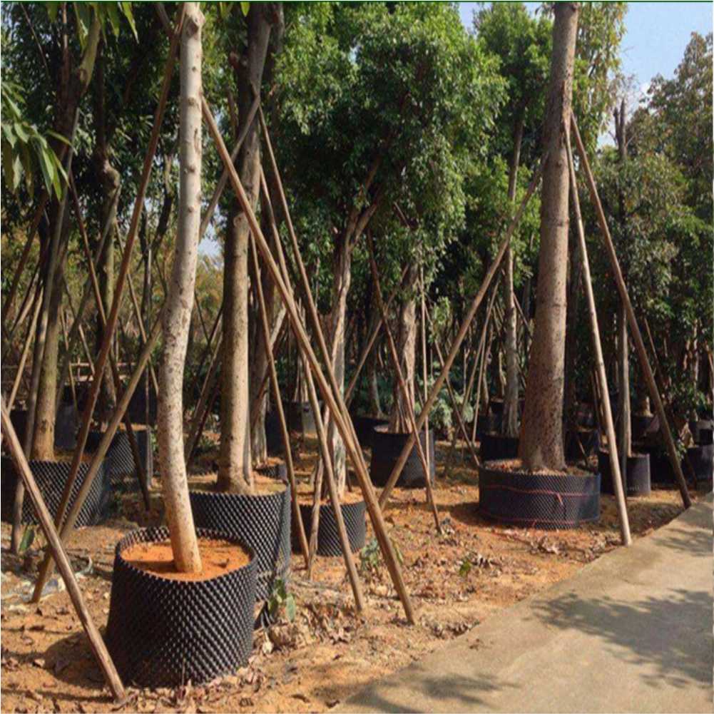 Grow Container Garden Tree Bon - đánh giá và giá Outdoor Furniture Metal